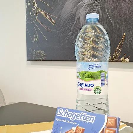 The Lion's - домът на лъва * Varna