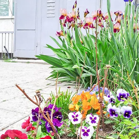 Appartamento The Lion's - домът на лъва *