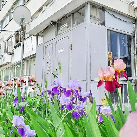 The Lion's - домът на лъва Apartment Varna