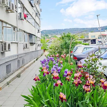 The Lion's - домът на лъва Appartamento