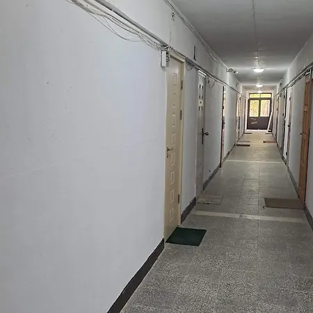 Apartment The Lion's - домът на лъва