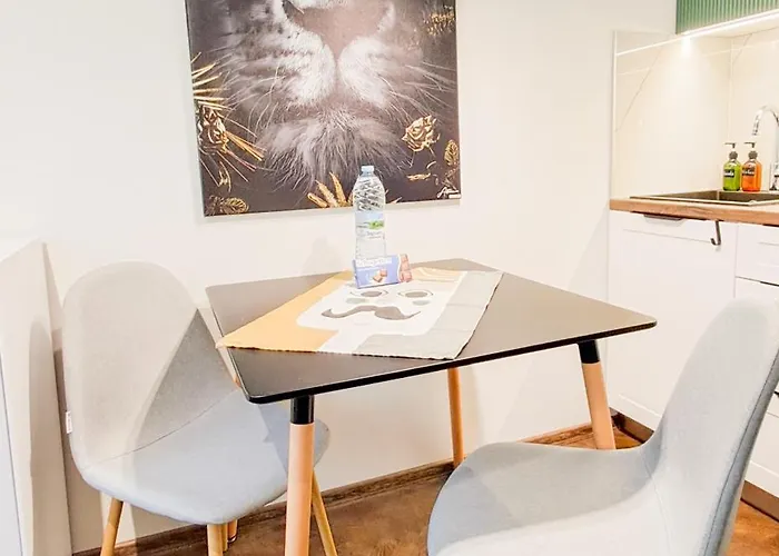 The Lion's - домът на лъва Appartamento