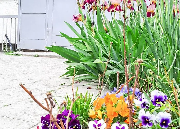 Apartment The Lion's - домът на лъва *