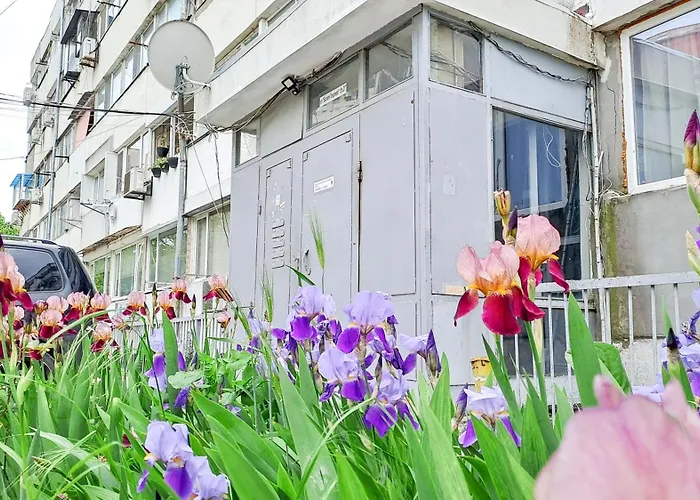 The Lion's - домът на лъва Apartment Varna