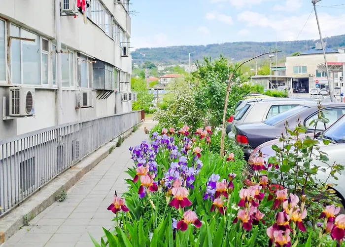 The Lion's - домът на лъва Apartment